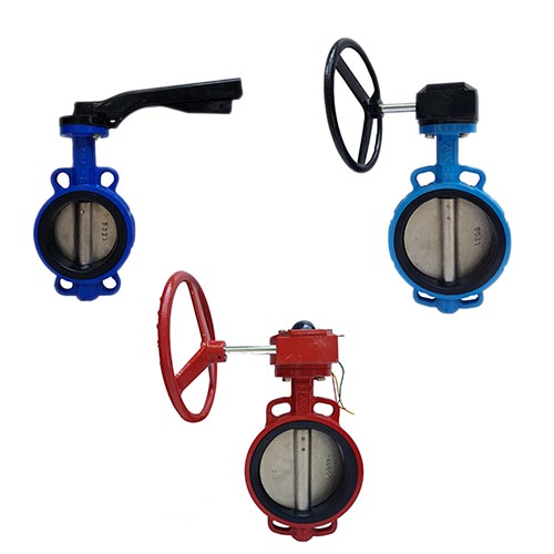 Van bướm arv malaysia siêu đẹp