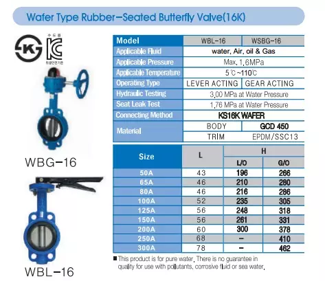 catalog_van_buom_han_quoc-4 ca ta log van bướm Hàn Quốc