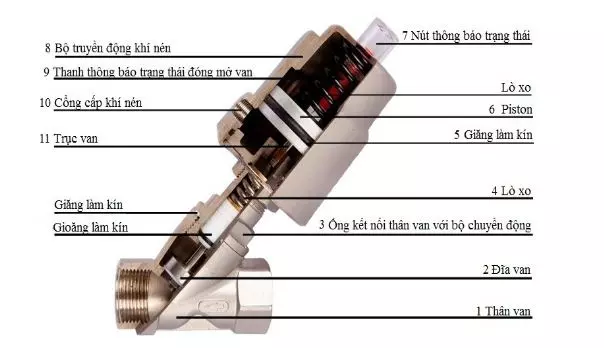 cau_tao_y_xuyen-6 cau_tao_y_xuyen