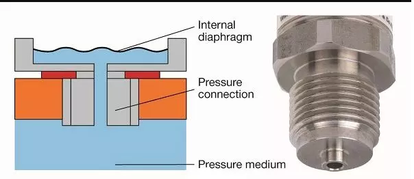 chan_ren_dong_ho chan_ren_dong_ho
