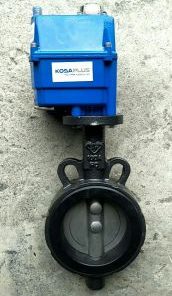 Giá Van bướm điện