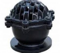 Rọ bơm DN100