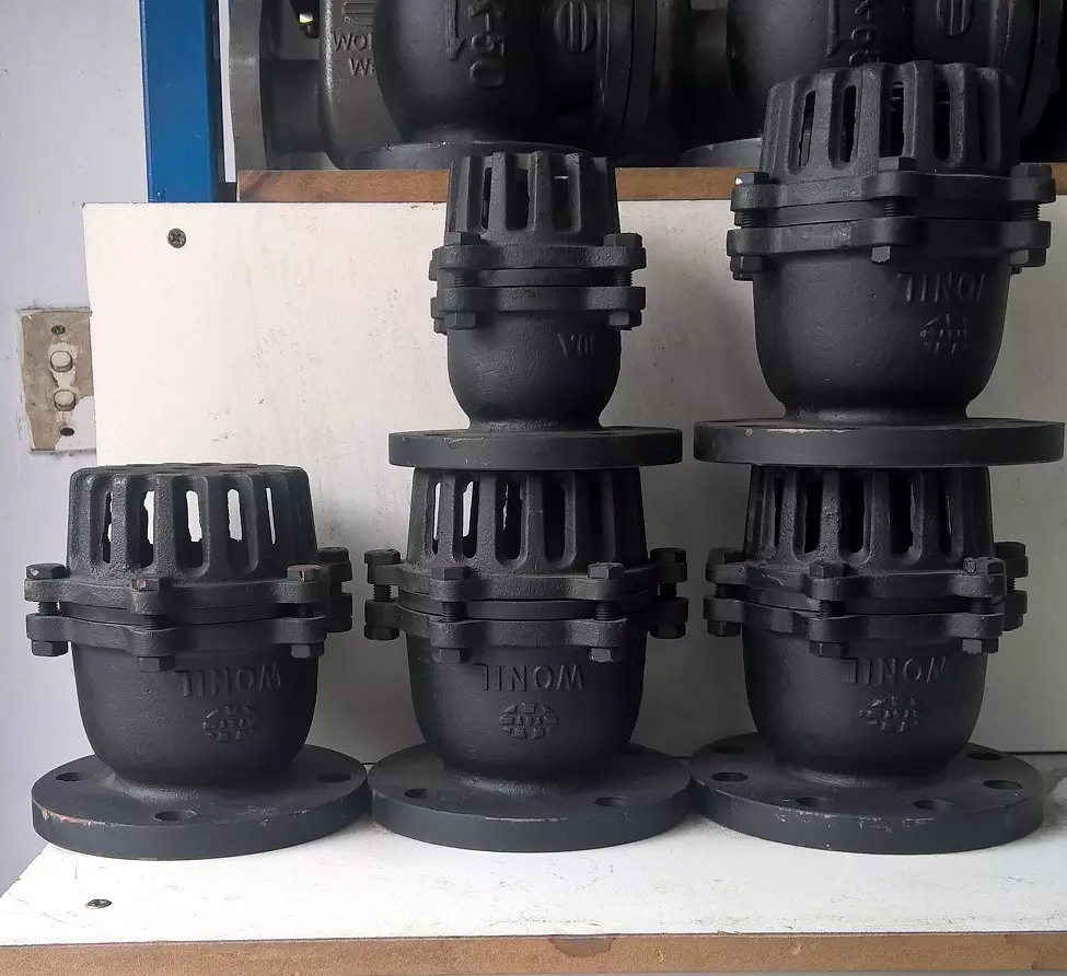 ro_bom_gang_han_quoc_wonil rọ bơm gang Hàn Quốc