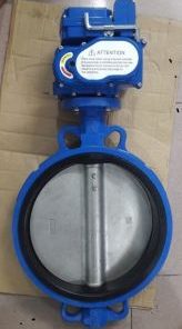 Van bướm điện tuyến tính