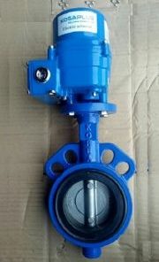 Van bướm điều khiển điện Hàn Quốc