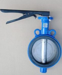 Van bướm Hàn Quốc