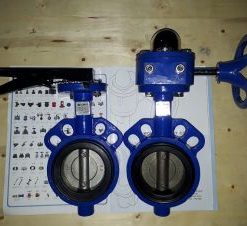 Van bướm Hàn Quốc DN65