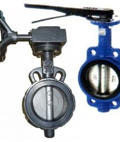 Van bướm HQ DN100