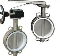 Van bướm inox