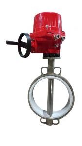Van bướm motor