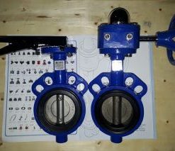 Van bướm nhập khẩu