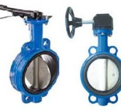 Van bướm Trung Quốc