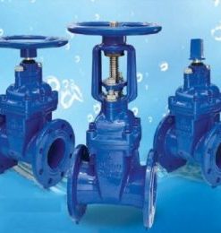 Van cổng dn250 | AUT-ARV-Emico-Samwoo