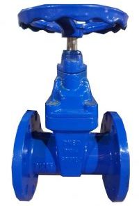 Van cổng Trung Quốc DN65