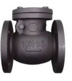 Van một chiều DN50