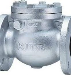 Van một chiều lá lật DN100