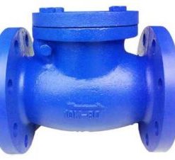 Van một chiều lá lật DN200