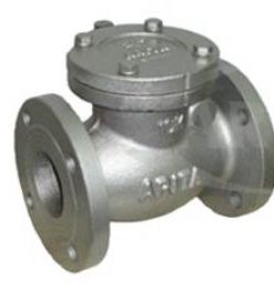 Van một chiều lá lật DN250