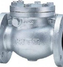 Van một chiều lá lật DN300