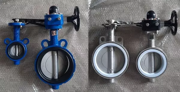 van_buom_4_icnh van bướm 4 icnh