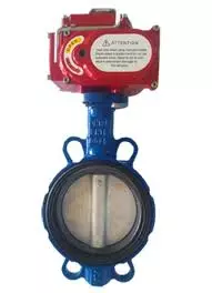 van_buom_arv_dieu_khien_dien_-1 van_buom_arv_dieu_khien_dien_