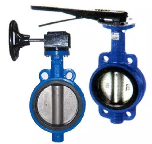 van_buom_aut-4 van_buom_aut