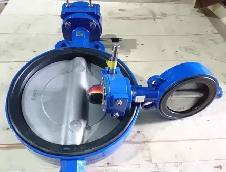 Van bướm Hàn Quốc DN250 tay quay