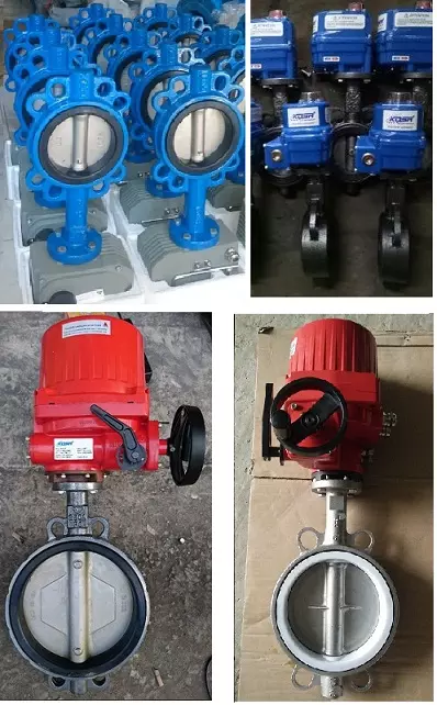 van_buom_motor_dien van_buom_motor_dien