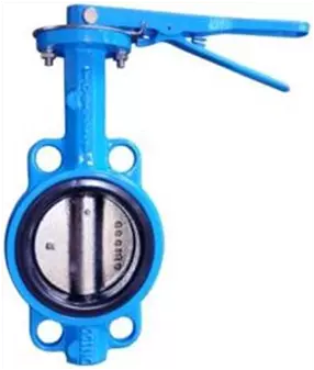 van_buom_tay_gat_arv-1 van_buom_tay_gat_arv