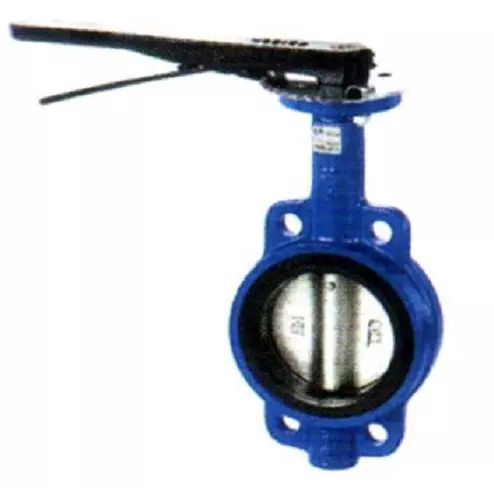 van_buom_tay_gat_aut-1 van_buom_tay_gat_aut