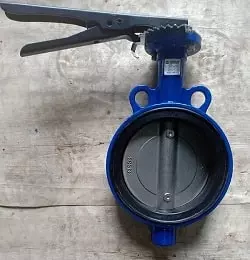 van bướm tay gạt mặt bích