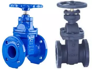 van_cong_ty_chim_dn50