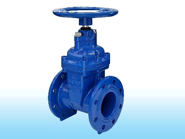 van_cong_ty_chim_shin_yi___dai_loan_119-2 van_cong_ty_chim_shin_yi___dai_loan_119