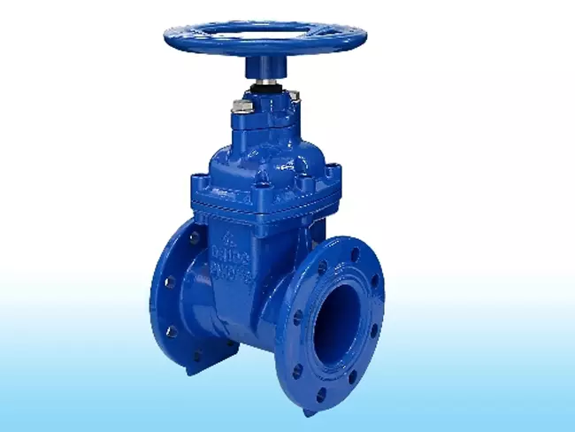 van_cong_ty_chim_shin_yi___dai_loan_119-3 van_cong_ty_chim_shin_yi___dai_loan_119