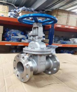 Hình ảnh van cổng inox