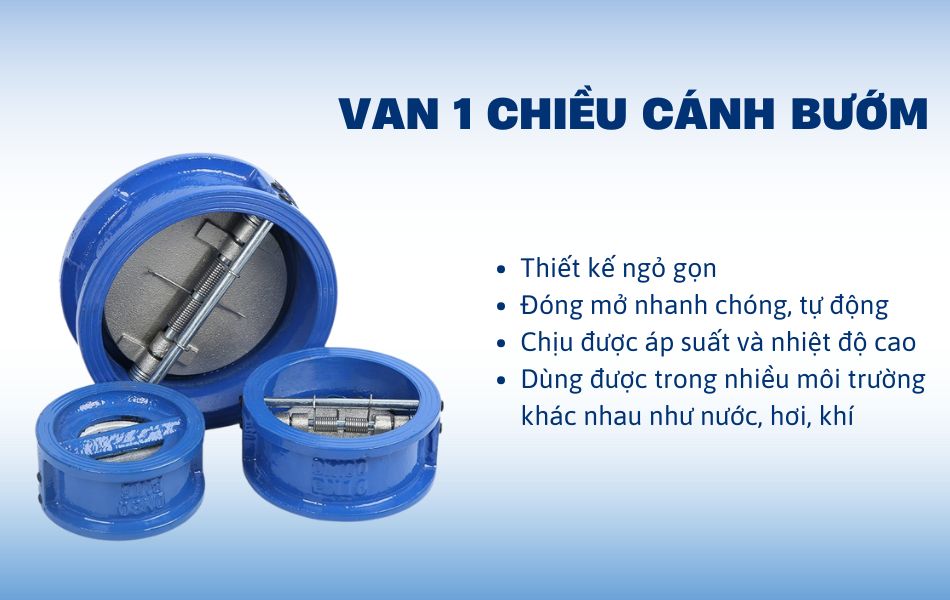 Van 1 chiều cánh bướm