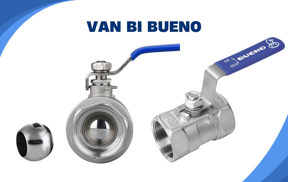 Van bi Bueno 